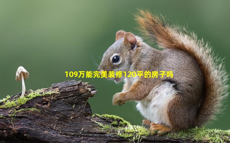 109万能完美装修120平的房子吗