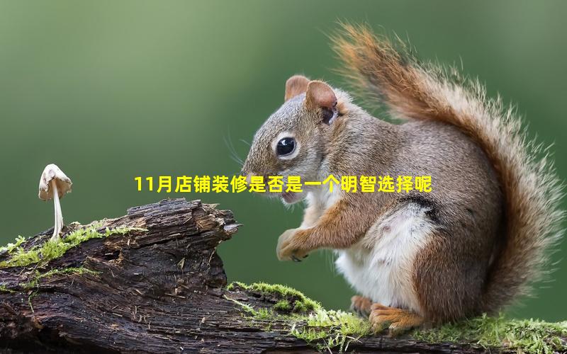 11月店铺装修是否是一个明智选择呢