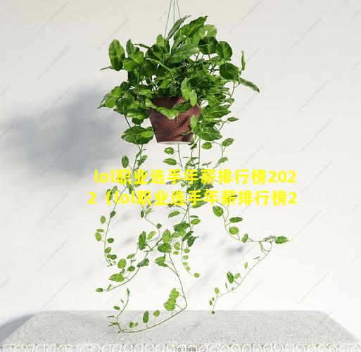 lol职业选手年薪排行榜2022（lol职业选手年薪排行榜2020）