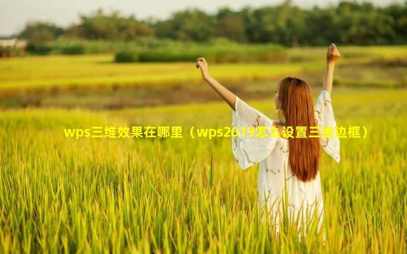 wps三维效果在哪里（wps2019怎么设置三维边框）