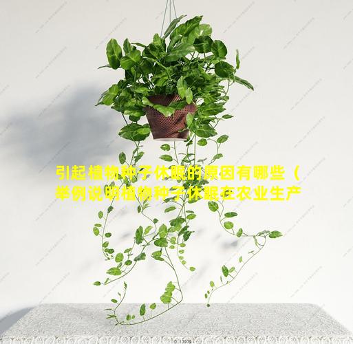 引起植物种子休眠的原因有哪些（举例说明植物种子休眠在农业生产中的实践意义）