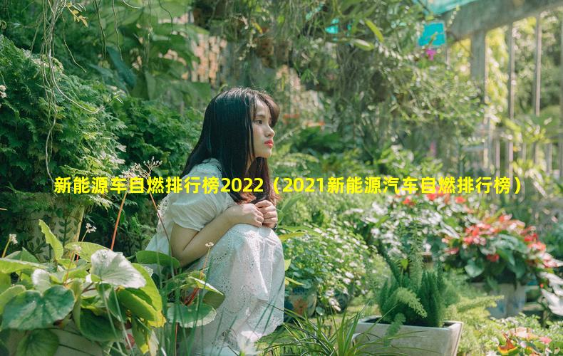 新能源车自燃排行榜2022（2021新能源汽车自燃排行榜）