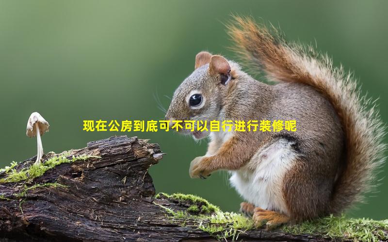 现在公房到底可不可以自行进行装修呢