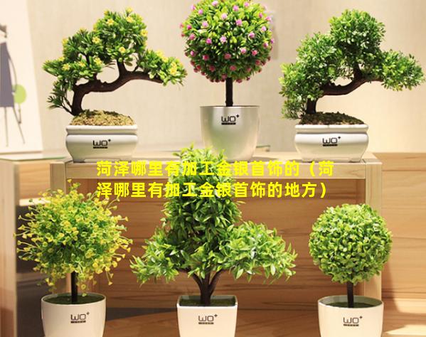 菏泽哪里有加工金银首饰的（菏泽哪里有加工金银首饰的地方）